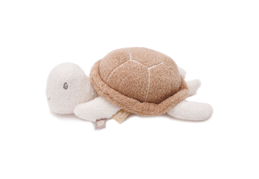 Aktivitätsspielzeug | Schildkröte